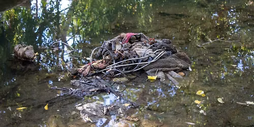 Mid-Week Cleanup at Autumn Parkway on Guadalupe River