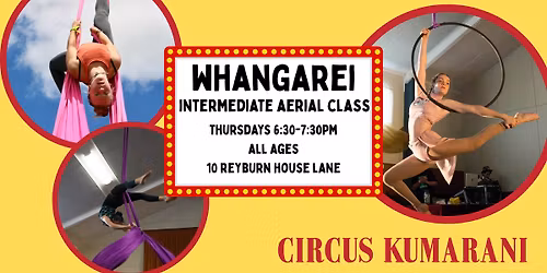 Whangarei Intermediate Aerial Class