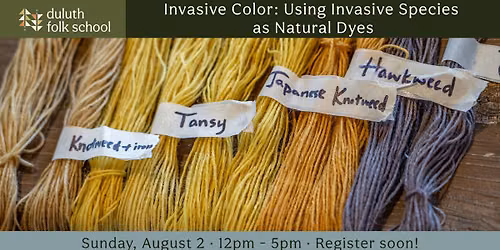 Invasive Color: Using Invasive Species as Natural Dyes