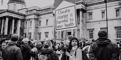 La sant\u00e9 : nouveau langage pour parler d'\u00e9cologie ?