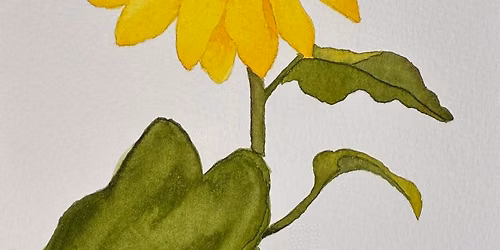 Sunflower Watercolor Workshop