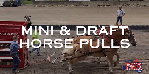 Mini & Draft Horse Pulls - NEO Pulling Association