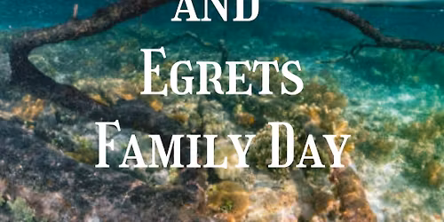 Everglades, Estuaries and Egrets Family Day