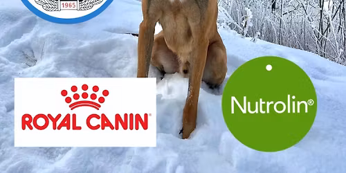 Poliisin huumekoirien SM-kilpailut 2026