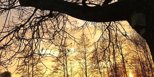 Tree Identification Walk at Kingsbury Water Park