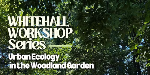 June Whitehall Workshop