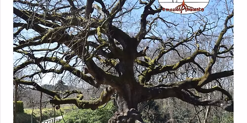 Sulle colline di Montecarlo