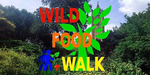 October Brandon Hill Park (Bristol) Wild Food Foraging\/ Foragers Walk.