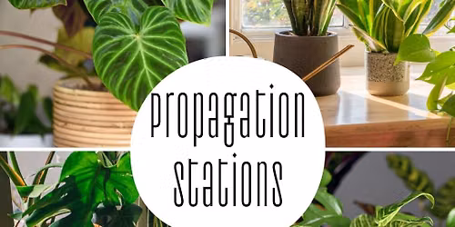 Propagation Stations with Adaya 6\/20\/26