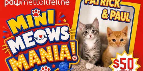 MINI MEOWS MANIA!\ud83d\udc08\ud83e\uddf6\ud83d\udc3e