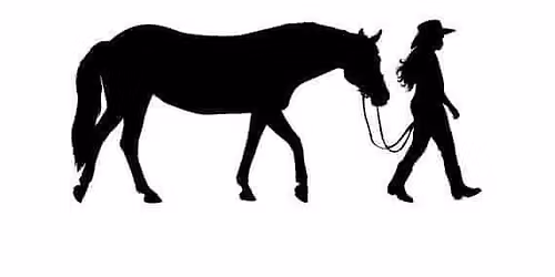 2026 Fun Show Series