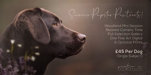 PUPSTAR PAWTRAITS
