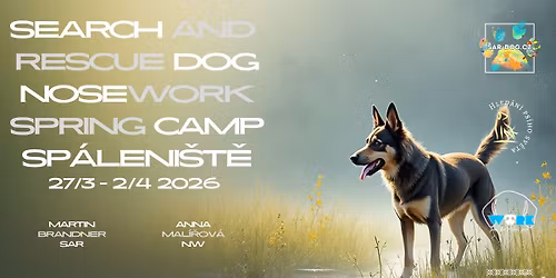 Spring camp for SAR and Nosework dogs