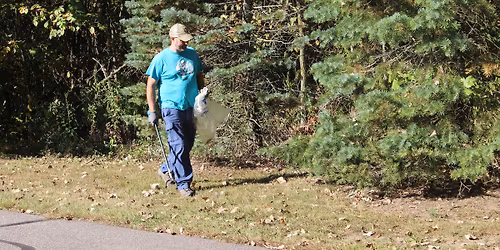 Weekly Clean: Rochester Hills Bee Property