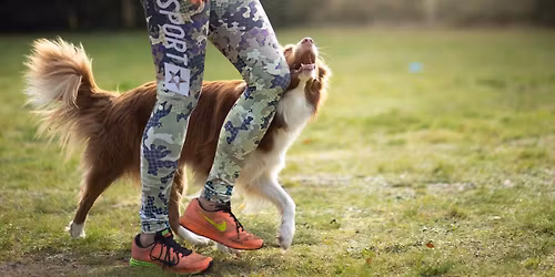 Kurs Pies na co dzie\u0144 - pos\u0142usze\u0144stwo i \u017cycie