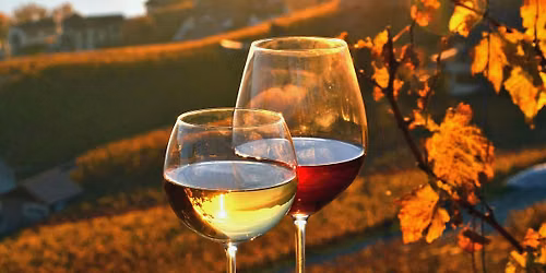 Chef's Dinner - Meet the producer: Tuscan Wine Dinner with Mormoraia