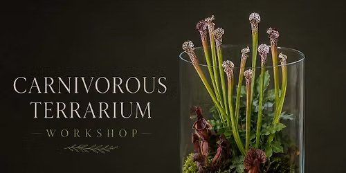 Carnivorous Bog Workshop