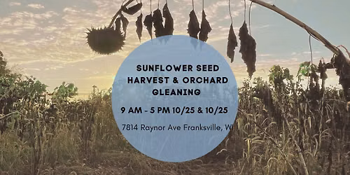 Orchard Harvest & Gleaning