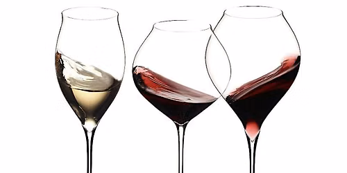 wine 101 | wine basics