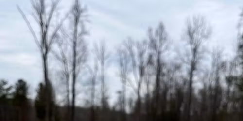 3Elephants & Co - Wine Glass Painting