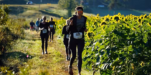 Fausett Farms Sunflower 5K & Fun Run