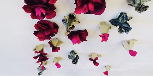 A MEG\u00c9RT\u00c9S VIR\u00c1GAI - G\u00d6RBEDI GABRIELLA KI\u00c1LL\u00cdT\u00c1SA