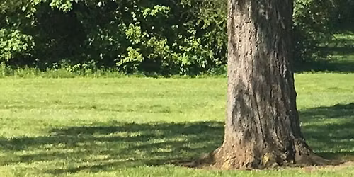 Loughton Valley come and try Orienteering