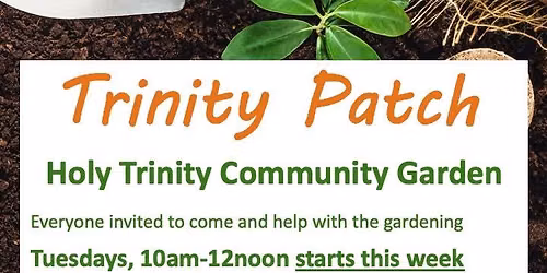 Trinity Patch: Community Gardening sessions on Tuesday mornings