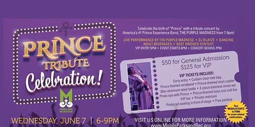 The Prince Experience (18+)