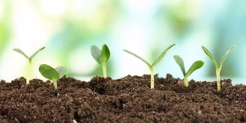 Enlightened Agriculture