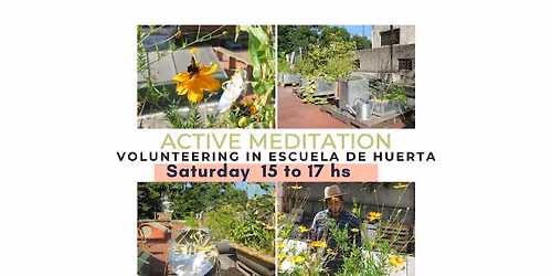 Active Meditation (Volunteering)