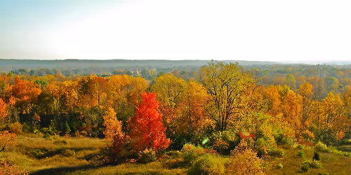 Free Admission: Veterans Day