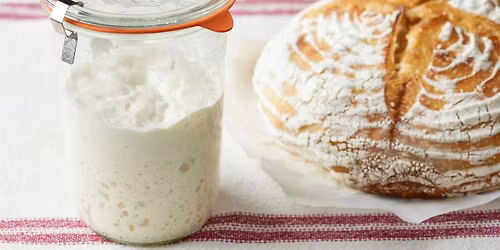 Sourdough Basics