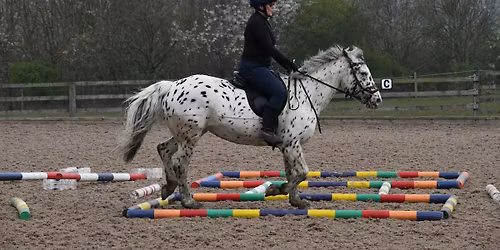 Ashley Suddes Pole work and Cavaletti clinic