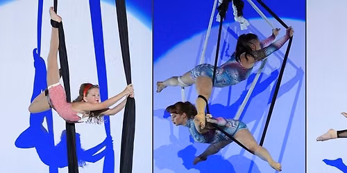 Aerial Arts Society Competition