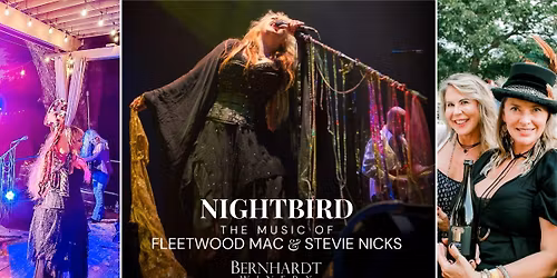 The Music of Fleetwood Mac & Stevie Nicks | Nightbird