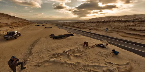 Behind the Science with Paleontologist Nick Pyenson