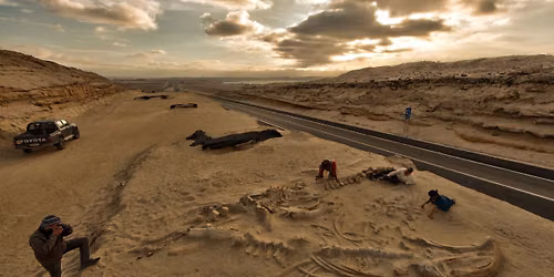 Behind the Science with Paleontologist Nick Pyenson
