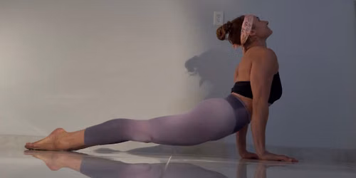 Vinyasa Foundation All-levels Yoga Workshop