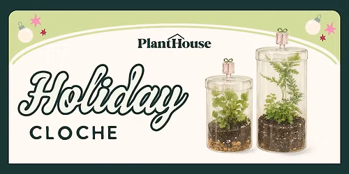 Holiday Terrarium Workshop