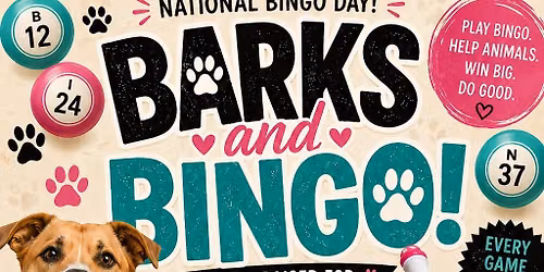 Barks & Bingo