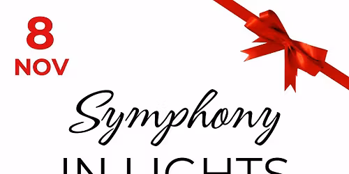 Doggie Cakes @ Syymphony of Lights