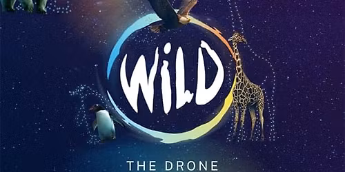WILD: The Drone Light Show - Bristol