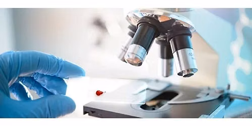 Nutritional Live Blood Cell Analysis 