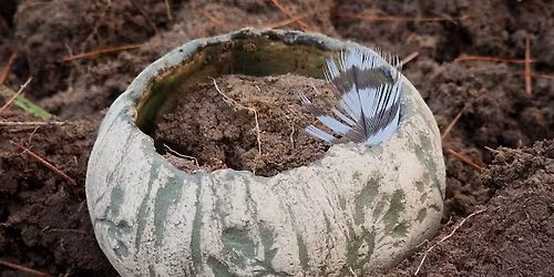 Nasiona Nowych Pocz\u0105tk\u00f3w