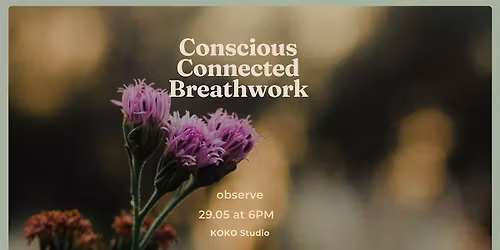 conscious connected breathwork - observe