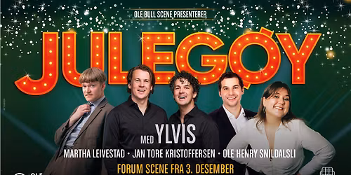 Juleg\u00f8y med YLVIS