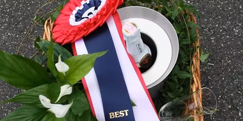 Utstilling og valpeshow for dachshunder 