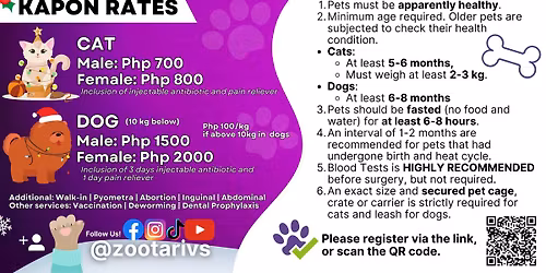 Low-cost Kapon at Salitran 2, Dasmari\u00f1as
