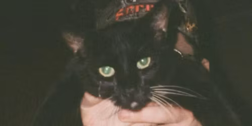 Shallowater, Ratboys in Portland